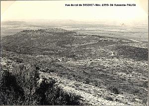 Palica - C- Le Telagh 015